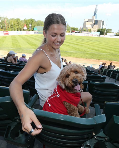 JASON HALSTEAD / WINNIPEG FREE PRESS  Rachelle Balak sits with her two-year-old miniature golden doodle Jake (in his new Goldeyes shirt) at the Bark at the Park event at the Winnipeg Goldeyes baseball game at Shaw Park on July 19, 2016. (See Social Page)