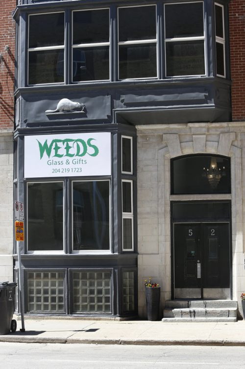 WAYNE GLOWACKI / WINNIPEG FREE PRESS    Ken Macdonald was at the police HQ Thursday to lay a complaint against the pop up pot place on Adelaide St called Weeds.  Gord Sinclair/Katie May stories   July 28 2016