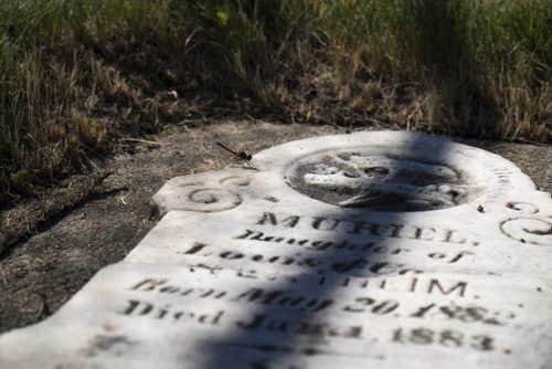 ZACHARY PRONG / WINNIPEG FREE PRESS  The oldest gravestone at the cemetery belongs to Muriel, a young girl who died just short of 8 months in 1883. July 29, 2016.