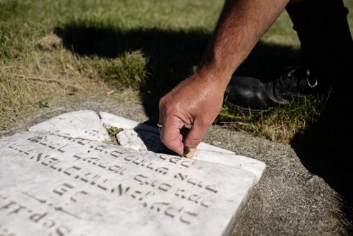 ZACHARY PRONG / WINNIPEG FREE PRESS  Bill Croydon, the Shaarey Zedek maintenance supervisor, pulls weeds from one of the gravestones at the Children of Israel Cemetery. July 29, 2016.