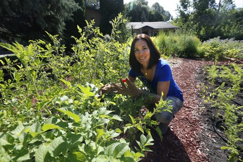 WAYNE GLOWACKI / WINNIPEG FREE PRESS  Jill Kantor grows an extensive vegetable garden in the front yard of her Tuxedo home. She also teaches classes on how to grow and ferment food. She is holding a cherry tomato in photo. Shamona Harnett story  July 29 2016