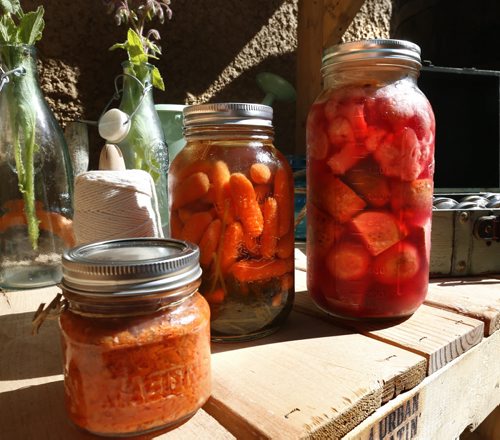 WAYNE GLOWACKI / WINNIPEG FREE PRESS  Jill Kantor grows an extensive vegetable garden in the front yard of her Tuxedo home. She also teaches classes on how to grow and ferment food. This is a sample of fermented food  from her refrigerator, from left, carrot kraut, carrots and cilantro and vegetable medley.   Shamona Harnett story  July 29 2016