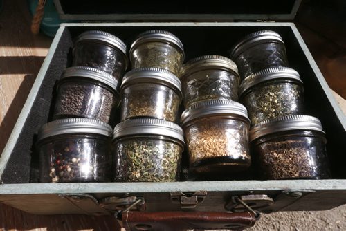 WAYNE GLOWACKI / WINNIPEG FREE PRESS  Jill Kantor grows an extensive vegetable garden in the front yard of her Tuxedo home. She also teaches classes on how to grow and ferment food. This is her spice collection she uses in her fermented food.   Shamona Harnett story  July 29 2016