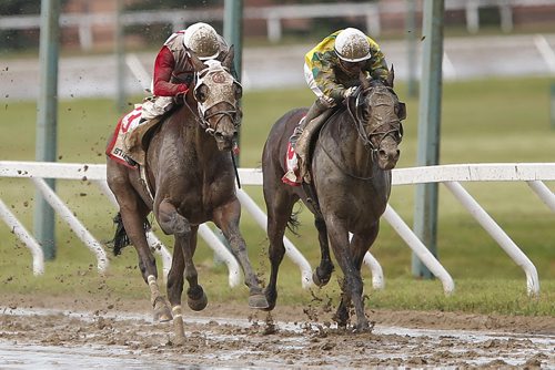 JOHN WOODS / WINNIPEG FREE PRESS Scott Stevens riding Inside Straight (3)(L) and Witts Henny Penny (5)(R) jostle for position in the final straight of the Manitoba Derby at Assiniboia Downs  Monday, August 1, 2016.