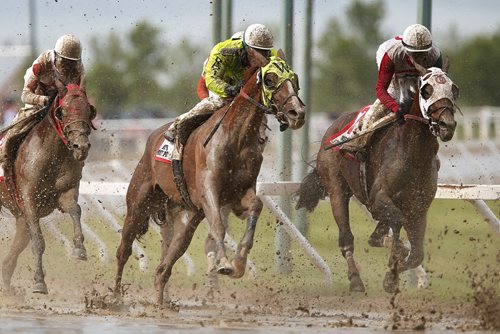 JOHN WOODS / WINNIPEG FREE PRESS Scott Stevens riding Inside Straight (3)(R) and Witts Henny Penny (5)(C) jostle for position in the first corner of the Manitoba Derby at Assiniboia Downs  Monday, August 1, 2016.