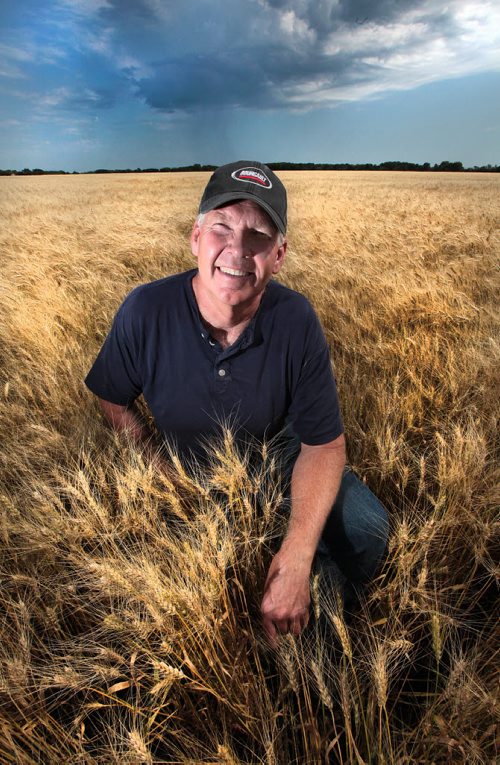 PHIL HOSSACK / WINNIPEG FREE PRESS -   East Selkirk area farmer Doug Martin shows of a spectacular field of winter wheat on his farm Wednesday afternoon. See Martin Cash story. August 3, 2016
