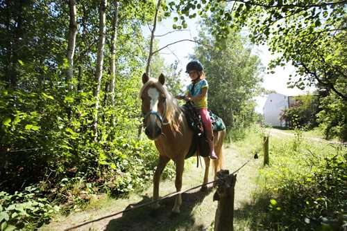 RUTH BONNEVILLE / WINNIPEG FREE PRESS  Six-year-old Averee Rose Krzyszton leads Spanky the pony around the circular pathway at Birds Hill Park Ranch Tuesday afternoon.  The Ranch offers daily trail rides, pony rides and wagon rides to groups up to 25 in the scenic bounds of Birds Hill Provincial Park.   Standup photo.    Aug 09, 2016