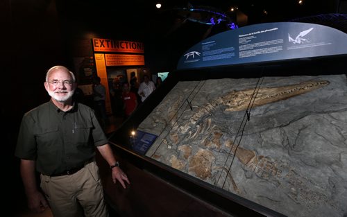 WAYNE GLOWACKI / WINNIPEG FREE PRESS      Dr. Wayne Buckley, amateur paleontologist beside the 90-million year old fossil of a Pliosaur he discovered. The fossil was unveiled in the Manitoba Museums Earth History Gallery Thursday.   Alexandra De Pape  story August 11 2016