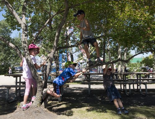 ZACHARY PRONG / WINNIPEG FREE PRESS  Children playing in a tree at the Tinkertown Family Fun Park. August 11, 2016. (NOTE TO EDITOR: NAMES NOT USED UPON REQUEST OF PARENTS)