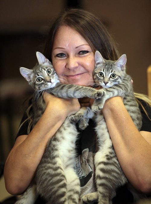 PHIL HOSSACK / WINNIPEG FREE PRESS -  Jennifer Laferriere is opening the doors to Miss J.Las Fur Babies Cat Cafe and Adoption Centre.She's posing in the facility with some of her charges. See Randy Turner's story.  August 12, 2016