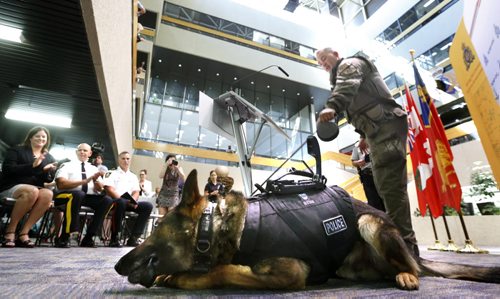 WAYNE GLOWACKI / WINNIPEG FREE PRESS  Sgt. Kent MacInnis with the RCMP K9 unit with police dog Eddie wearing one of the new ballistics dog vests equipped with a camera and audio equipment for the handler to communicate to the dog when used in high-risk situations. Seated from left is Justice Minister Heather Stefanson, Commanding Officer Scott Kolody, RCMP D Division and Jeff Szyszkowski, acting deputy chief, investigations, Winnipeg Police Service at the provincial announcement on investing in new resources for victims of crime and law enforcement through the Criminal Property Forfeiture Fund. Part of the fund will go to vests and equipment for the RCMP K9 unit. The event was held at RCMP D Division Wednesday. Kristin Annable story August 17 2016