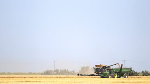 PHIL HOSSACK / WINNIPEG FREE PRESS -   A combine spills wheat into a trailer near Aubigney, South of Winnipeg in the Red River Valley Monday afternoon. See story. August 22, 2016