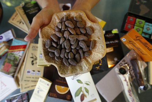 WAYNE GLOWACKI / WINNIPEG FREE PRESS  Food feature piece on chocolate tasting. Doreen Pendgracs holds cocoa beans with an assortment of handcrafted artisan made excellent chocolate from around the world. Alison Gillmor story     August 30 2016