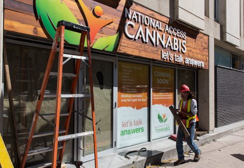 MIKE DEAL / WINNIPEG FREE PRESS A new sign is installed at the National Access Cannabis office at 379 Broadway Ave which will be opening soon. The organization helps people obtain and file the required legal documents to possess medicinal cannabis. 20160830 - Tuesday August 30, 2016