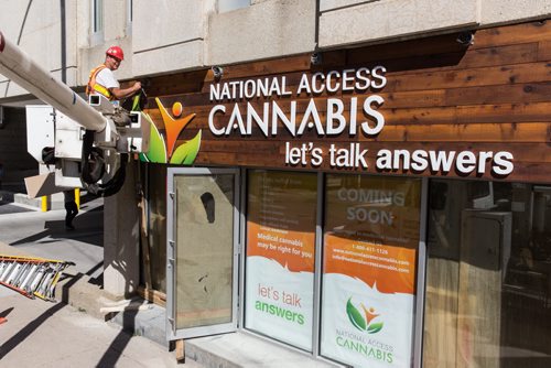 MIKE DEAL / WINNIPEG FREE PRESS A new sign is installed at the National Access Cannabis office at 379 Broadway Ave which will be opening soon. The organization helps people obtain and file the required legal documents to possess medicinal cannabis. 20160830 - Tuesday August 30, 2016