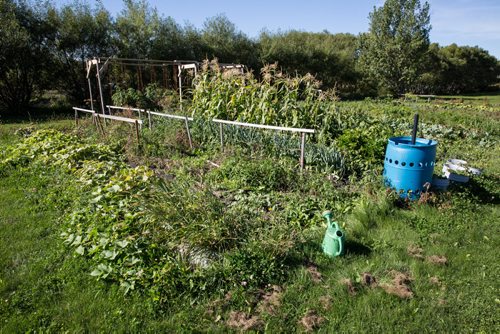 MIKE DEAL / WINNIPEG FREE PRESS Re-Sale Home 22160 Municipal 53N Road in Lorette, MB Large garden in the back yard. 20160830 - Tuesday August 30, 2016