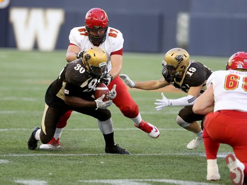 TREVOR HAGAN / WINNIPEG FREE PRESS Manitoba Bisons' Bami Adewale recovers a fumble in front of Calgary Dinos Jordan Filippelli during first half CIS football action, Thursday, September 1, 2016.
