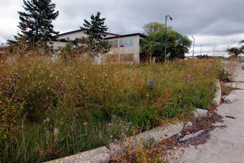 BORIS MINKEVICH / WINNIPEG FREE PRESS
Weeds and grass overgrow some of the Kapyong Barracks buildings. This is the building on the northwest corner of Taylor and Kenaston Blvd and Taylor Ave.

 A grass cutting company started to mow the grounds of the Kapyong Barracks today and will have the whole place trimmed up by the end of the week. Sept.12, 2016