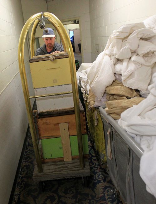 PHIL HOSSACK / WINNIPEG FREE PRESS -   Chris Kirouac of the Bee Project wheels beehives through the back corridors and laundry of the Fairmont Hotel Tuesday evening. See Wendy King's story.  September 13, 2016