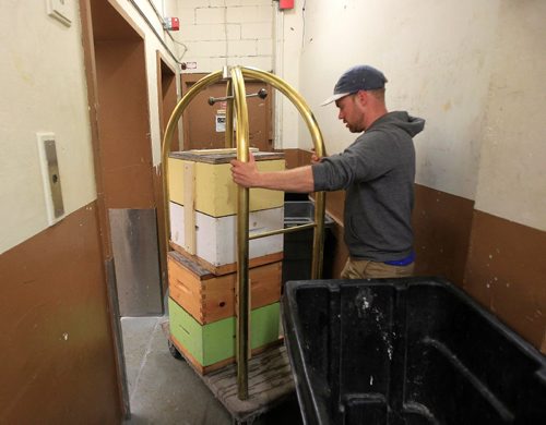PHIL HOSSACK / WINNIPEG FREE PRESS -   Chris Kirouac of the Bee Project wheels beehives through the back corridors and service elevators of the Fairmont Hotel Tuesday evening. See Wendy King's story.  September 13, 2016