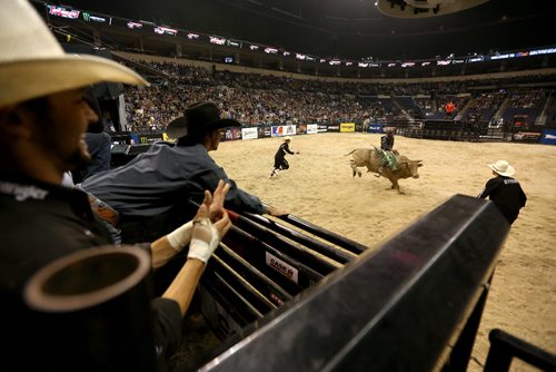 TREVOR HAGAN / WINNIPEG FREE PRESS
PBR bull riding stop, Saturday, September 17, 2016.