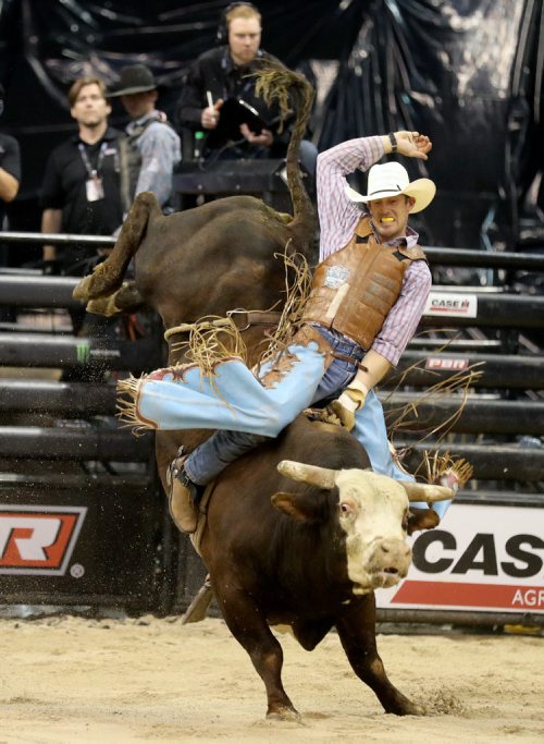 TREVOR HAGAN / WINNIPEG FREE PRESS
Matt Werries riding Stick It, during the PBR bull riding stop, Saturday, September 17, 2016.