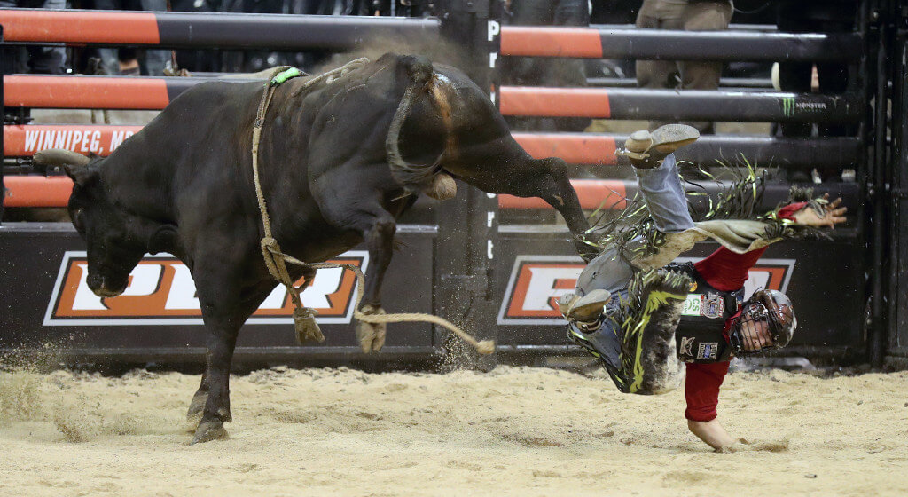 TREVOR HAGAN / WINNIPEG FREE PRESS
A rider is thrown from the bull during the PBR bull riding stop, Saturday, September 17, 2016.