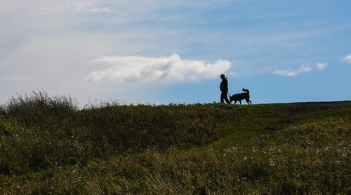 MIKE DEAL / WINNIPEG FREE PRESS

Wendy Nerman walks her dog Maya, 7, at the Kilcona Dog Park on a blustery Monday morning. 

160919
Monday, September 19, 2016