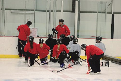 Canstar Community News Seven Oaks School Divisions Hockey Skills Academy focuses on teaching techniques and skills to students.