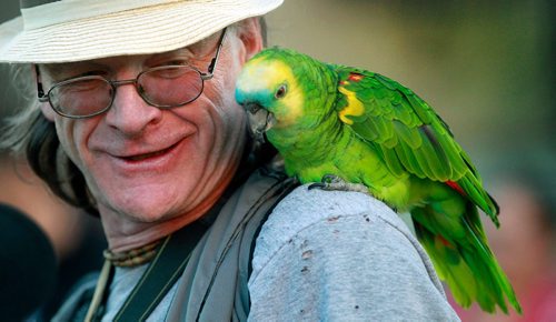 PHIL HOSSACK / WINNIPEG FREE PRESS -  PARROTS FOR PEACE - Doug Kretchmer and his Parrot "Billie" marched along with the Peace Rally that made it's way through downtown Winnipeg Wednesday evening ending with a rally and bbq at Central Park. See release. STAND-UP. September 28, 2016