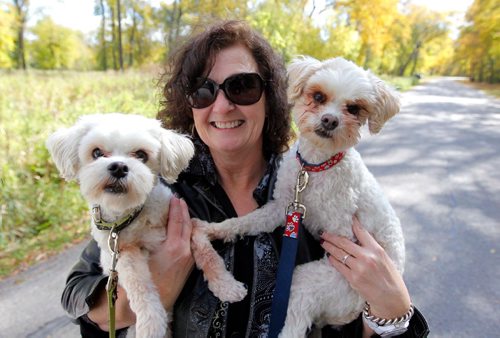 BORIS MINKEVICH / WINNIPEG FREE PRESS
Dog lover Susan Belanger with her two dogs Sookie (green leash- left) and Pip (blue leash-right). They were taking a lovely walk through Crescent Park. Sept. 30, 2016