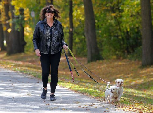 BORIS MINKEVICH / WINNIPEG FREE PRESS
Dog lover Susan Belanger with her two dogs Sookie (green leash- left) and Pip (blue leash-right). They were taking a lovely walk through Crescent Park. Sept. 30, 2016