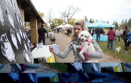 RUTH BONNEVILLE / WINNIPEG FREE PRESS

Mallory Vandenberg holds her three-year-old Bichon Poodle named "Sophie"  after placing a paw print on a board in memory of one of her dogs as part of a fundraiser at  CancerCare's Bark for Life at St. Vital Park Saturday.  

October 1st, 2016
