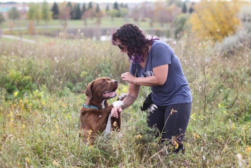RUTH BONNEVILLE / WINNIPEG FREE PRESS

Charlene Biebrick gives her dog Chase a treat while playing at Kilcona Dog Park on Saturday.  
See Jessica's story.  
October 1st, 2016

