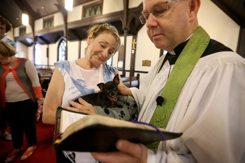 TREVOR HAGAN / WINNIPEG FREE PRESS
Wendy Casavant holding her chihuahua, Navaeh, as Rev. Paul Lampman performs a Blessing of the animals at the Parish Church of St. Luke, Saturday, October 1, 2016.