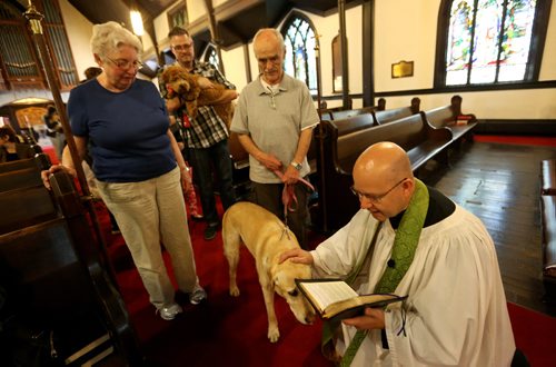 TREVOR HAGAN / WINNIPEG FREE PRESS
Rev. Paul Lampman performs a Blessing of the animals at the Parish Church of St. Luke, Saturday, October 1, 2016.
