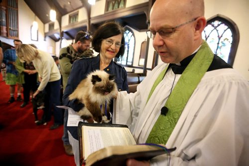 TREVOR HAGAN / WINNIPEG FREE PRESS
Guinefur, a birman cat, held by her owner, Jan MacPhail, being blessed by Rev. Paul Lampman during a blessing of the animals at the Parish Church of St. Luke, Saturday, October 1, 2016.