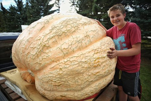 MIKE DEAL / WINNIPEG FREE PRESS

Milan Luke's, 14, with his winning pumpkin from this weekends Rolland Pumpkin Festival. His second win in a row and his fourth year entering. Though the scale was damaged earlier in the competition he had his pumpkin weighed unofficially at a local grain elevator at around 1352 lbs. 

161002
Sunday, October 02, 2016