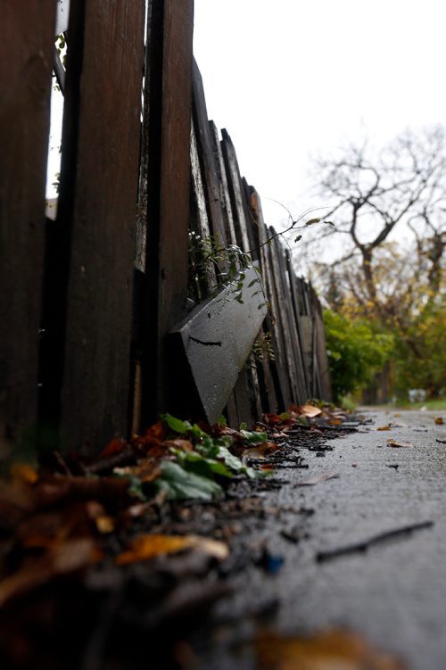 WAYNE GLOWACKI / WINNIPEG FREE PRESS


A street in the North End for Mike McIntyre's  story on a youth. Oct. 7 2016