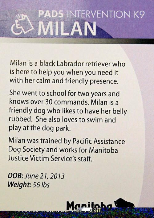 BORIS MINKEVICH / WINNIPEG FREE PRESS
Milan, a three-year-old black Labrador used to comfort crime victims, got a public introduction Friday from Justice Minister Heather Stefanson in Room 104 at the Legislative Building. This is a copy shot of the card that is given out to people who have contact with the service dog. Oct. 7, 2016
