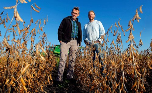 BORIS MINKEVICH / WINNIPEG FREE PRESS
University of Winnipeg Mennonite history prof Royden Loewen and part time farmer researches the connection between faith and farming in seven international communities. In this photo Royden Loewen,left, and son Sasha Loewen, right, pose for a photo during a break from harvesting soybeans this afternoon in the Steinbach area. Oct. 13, 2016