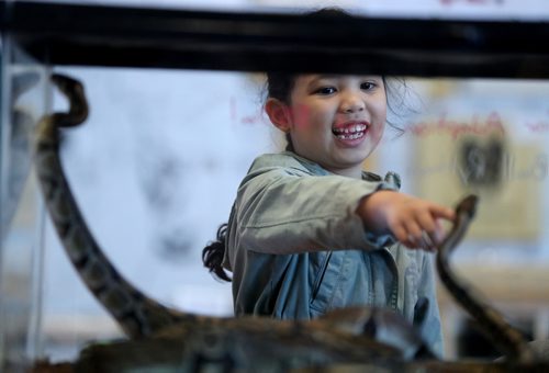 TREVOR HAGAN / WINNIPEG FREE PRESS
Odine Auditor, 7, with her father, Randy, at the Prairie Exotics booth at the Winnipeg Pet Show at the Winnipeg Convention Centre, Saturday, October 15, 2016.