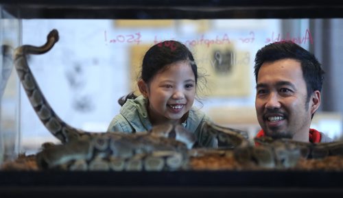 TREVOR HAGAN / WINNIPEG FREE PRESS
Odine Auditor, 7, with her father, Randy, at the Prairie Exotics booth at the Winnipeg Pet Show at the Winnipeg Convention Centre, Saturday, October 15, 2016.