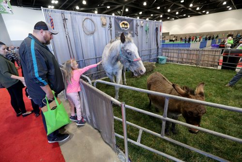 TREVOR HAGAN / WINNIPEG FREE PRESS
Chris Brown and his daughter, Carly, 6, at the Winnipeg Pet Show at the Winnipeg Convention Centre, Saturday, October 15, 2016