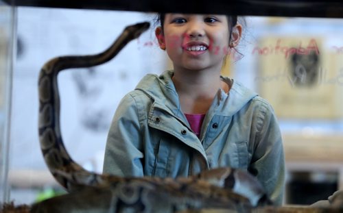 TREVOR HAGAN / WINNIPEG FREE PRESS
Odine Auditor, 7, with her father, Randy, at the Prairie Exotics booth at the Winnipeg Pet Show at the Winnipeg Convention Centre, Saturday, October 15, 2016.