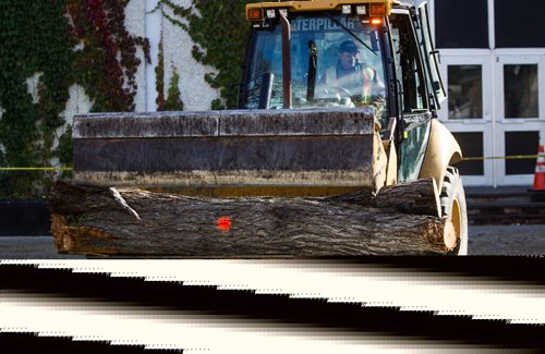 MIKE DEAL / WINNIPEG FREE PRESS
A city crew cuts down dutch elm infected trees on Powers Street in front of St. John's High School.
161017 - Monday, October 17, 2016 - 

