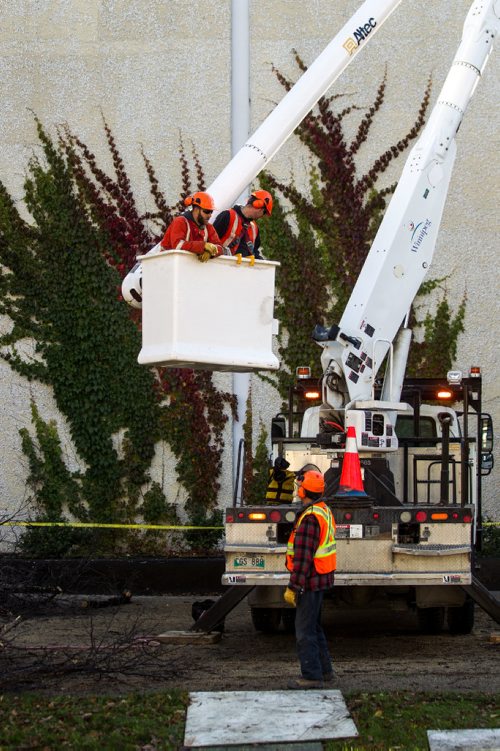 MIKE DEAL / WINNIPEG FREE PRESS
A city crew cuts down dutch elm infected trees on Powers Street in front of St. John's High School.
161017 - Monday, October 17, 2016 - 

