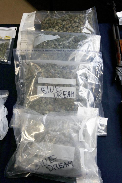 JOE BRYKSA / WINNIPEG FREE PRESSThree police services from Manitoba displayed seized items from project Derringer in Brandon, Manitoba Oct 12-15, 2016- Items seized included firearms, cash , vehicles , and drugs- Portion of seized Marijuana  -Oct 19, 2016 -(See Carol Sanders story)