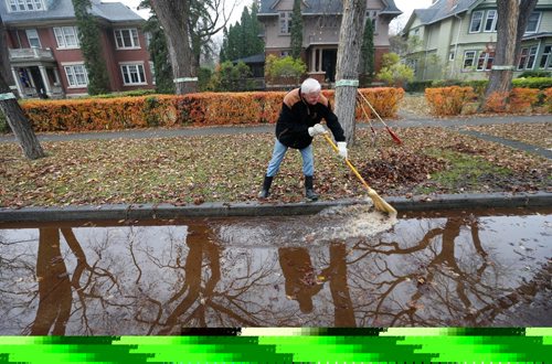 WAYNE GLOWACKI / WINNIPEG FREE PRESS


 Robert Young in front of his home on Yale Ave. moves water and leaves towards a drain. The water collects in a dip in the street and has been a problem all summer and now has the leaves in it. Alex Paul story.   story Oct. 28 2016