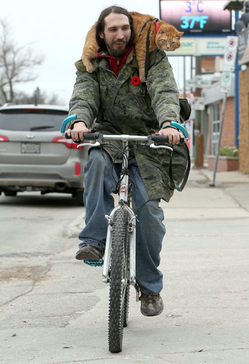 JASON HALSTEAD / WINNIPEG FREE PRESS

Dan Spencer cycles along Henderson Highway in Elmwood with his six-year-old cat, Saito, on Nov. 2, 2016. (For standalone photo)